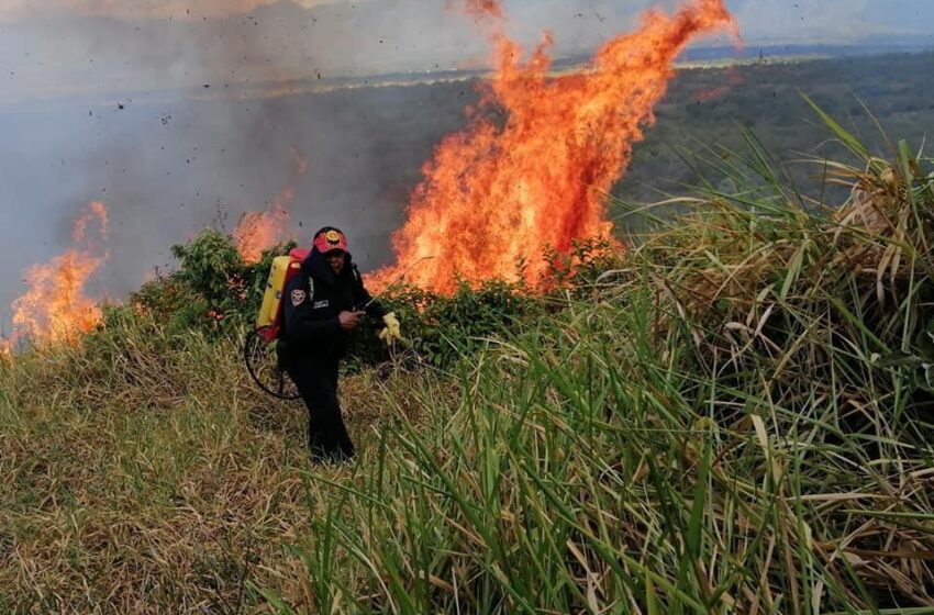  Más de 1.000 hectáreas afectadas por incendio forestal en Palermo