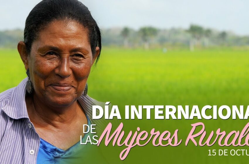  El Huila conmemora el día internacional de las mujeres rurales