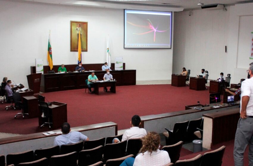  Asamblea del Huila eligió los integrantes de las 4 comisiones para el 2021