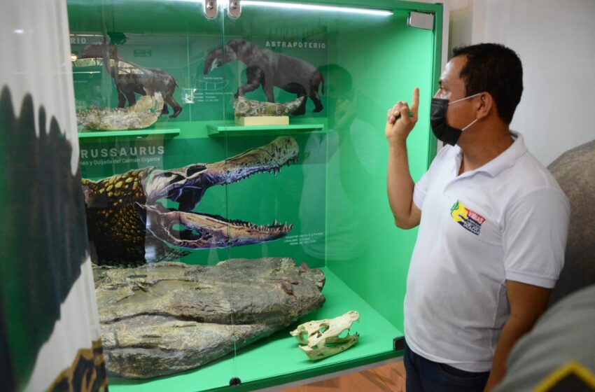  Segundo Laboratorio Paleontológico de Colombia queda en el Huila