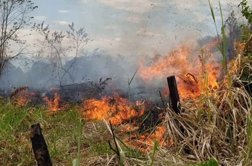  Reporte preliminar por incendios forestales en el Huila