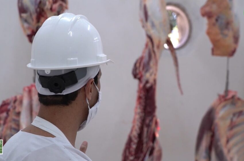  Análisis de Fedegán sobre el incremento del precio de la carne de res durante 2021