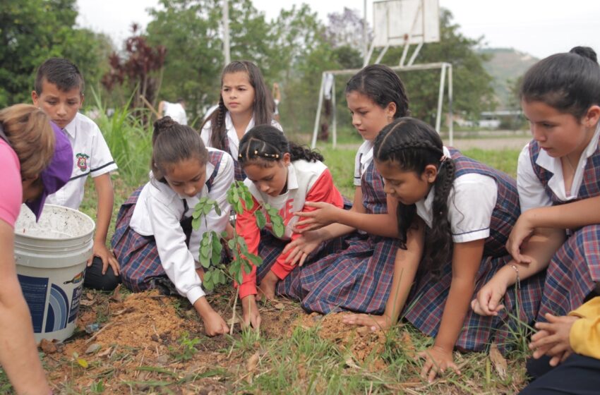  Con siembra de árboles, buscan crear conciencia en Pitalito